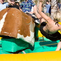 IMG_1252.jpg