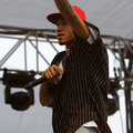 IMG_5953.jpg