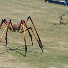 IMG_6130.jpg