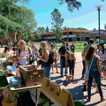 IMG 0962