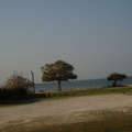 DSC00956