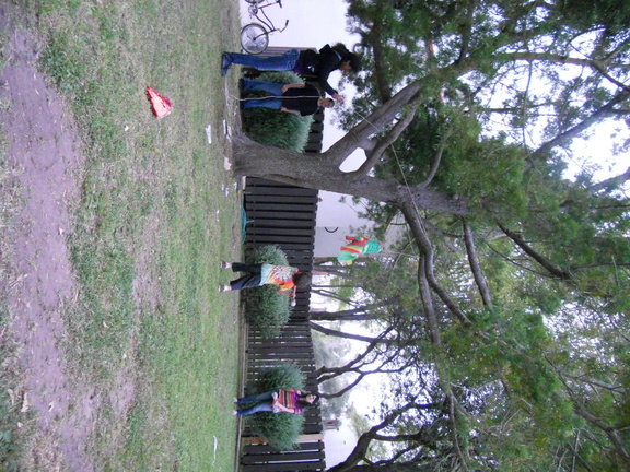 DSCN1253