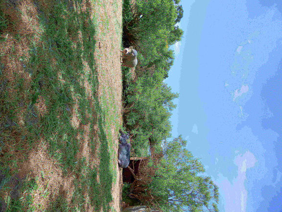 DSCN0705