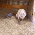 DSCN0755