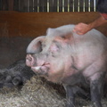 DSCN0756