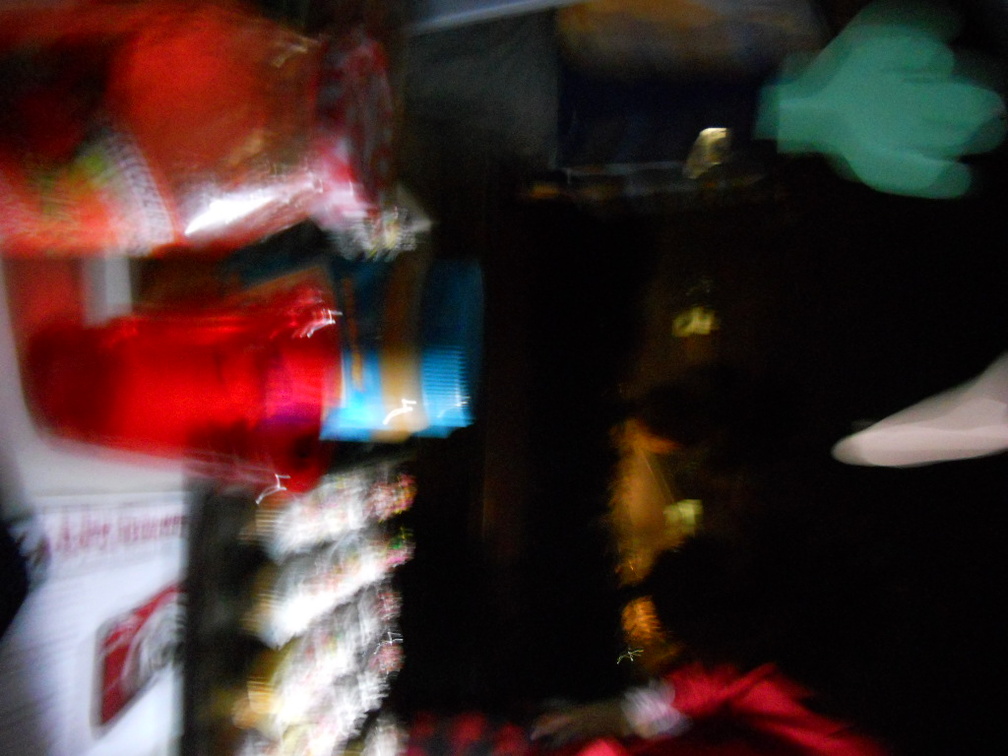 DSCN1381