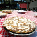 DSCN1410