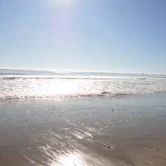 DSC01460
