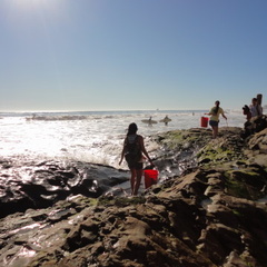 DSC01466