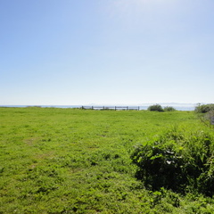 DSC01486