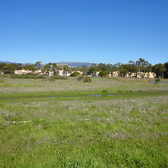 DSC01495