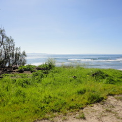 DSC01499