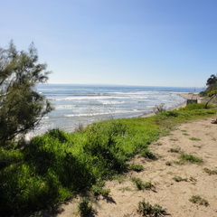 DSC01501