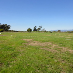 DSC01502