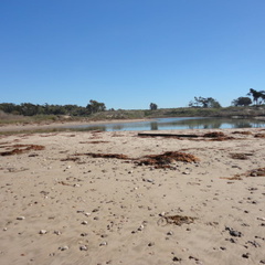 DSC01517