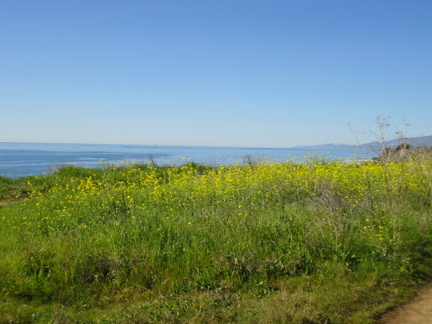 DSC01529