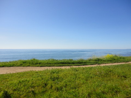 DSC01530
