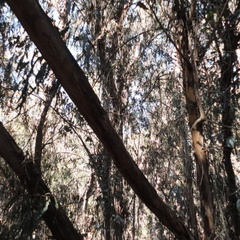 DSC01539