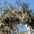 DSC01544