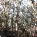 DSC01546