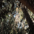DSC01547