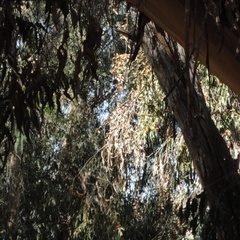 DSC01547