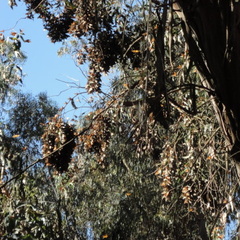 DSC01549