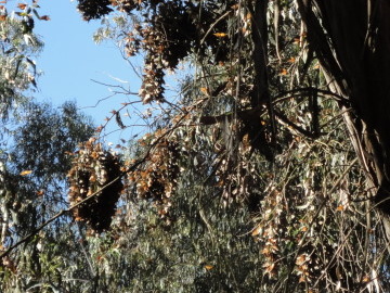 DSC01549
