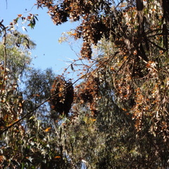 DSC01560