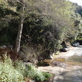 DSC01593