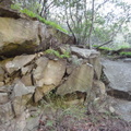 DSC01627.JPG