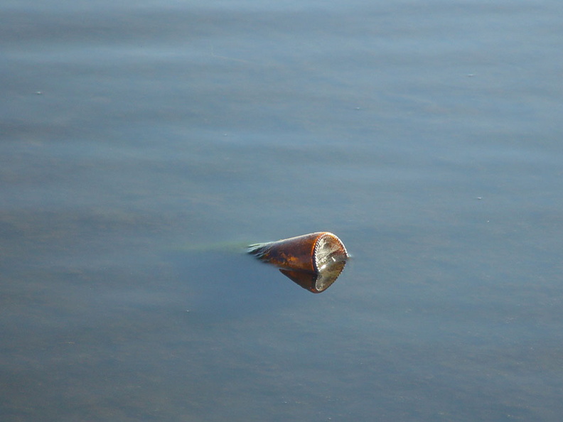bottle.jpg