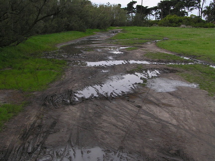 P1130094_001.jpg