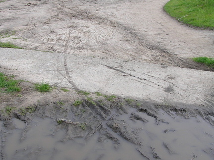 P1130125_001.jpg