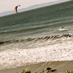 Kite Surfing on the shore!

cmccone@umail.ucsb.edu

Taken on Lagoon Bluffs
