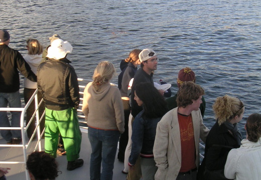 Gaviota Boat Trip Fall 2004