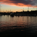 PICT0137.jpg