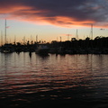 PICT0138.jpg