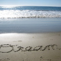 dream