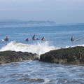img 3749