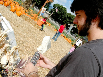 ezezz-pumpkin patch-11