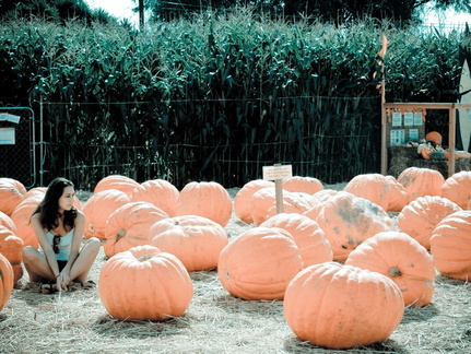 ezezz-pumpkin patch-13