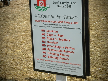 ezezz-pumpkin patch-2
