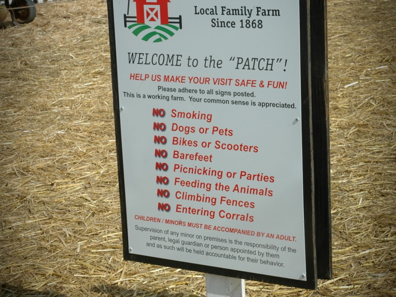 ezezz-pumpkin patch-2