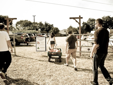 ezezz-pumpkin patch-40