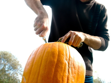 ezezz-pumpkin patch-43