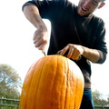 ezezz-pumpkin_patch-43.jpg