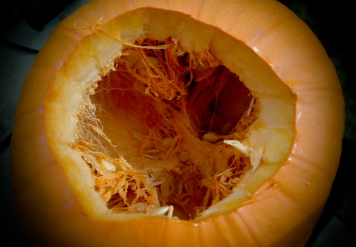 ezezz-pumpkin patch-44