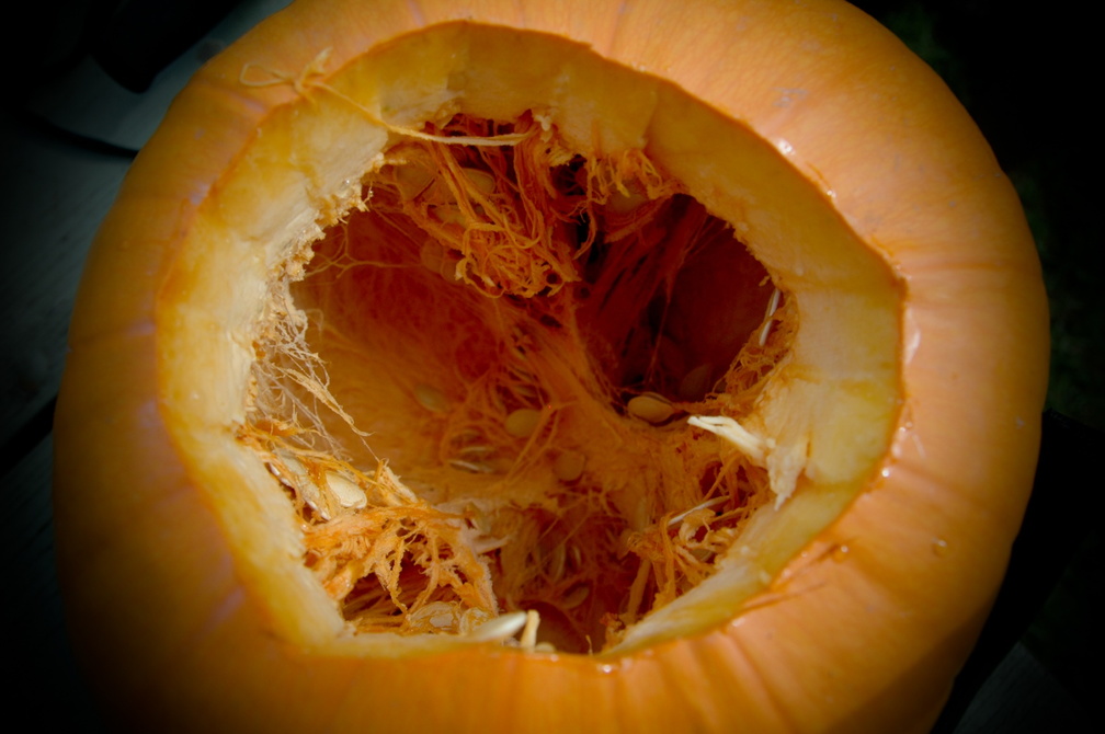 ezezz-pumpkin_patch-44.jpg