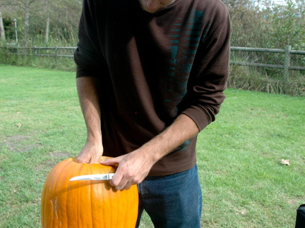ezezz-pumpkin patch-45